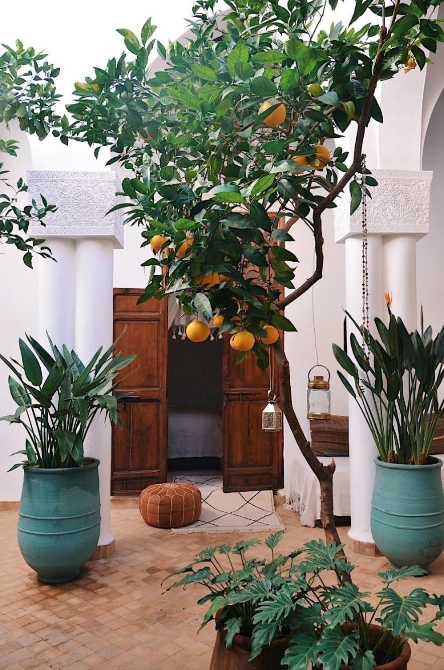 Nosade Venue Bed and Breakfast Marrakesh Exteriör bild