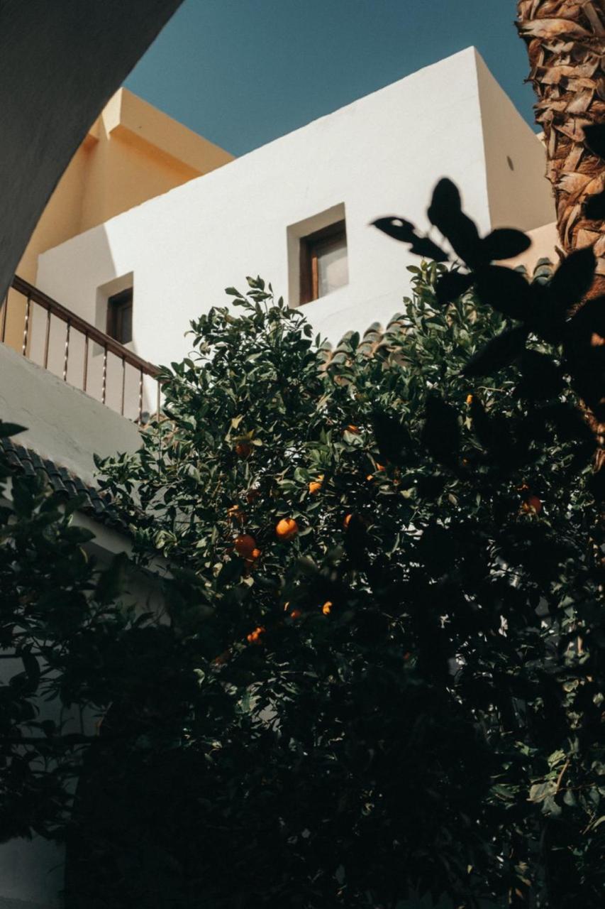 Nosade Venue Bed and Breakfast Marrakesh Exteriör bild