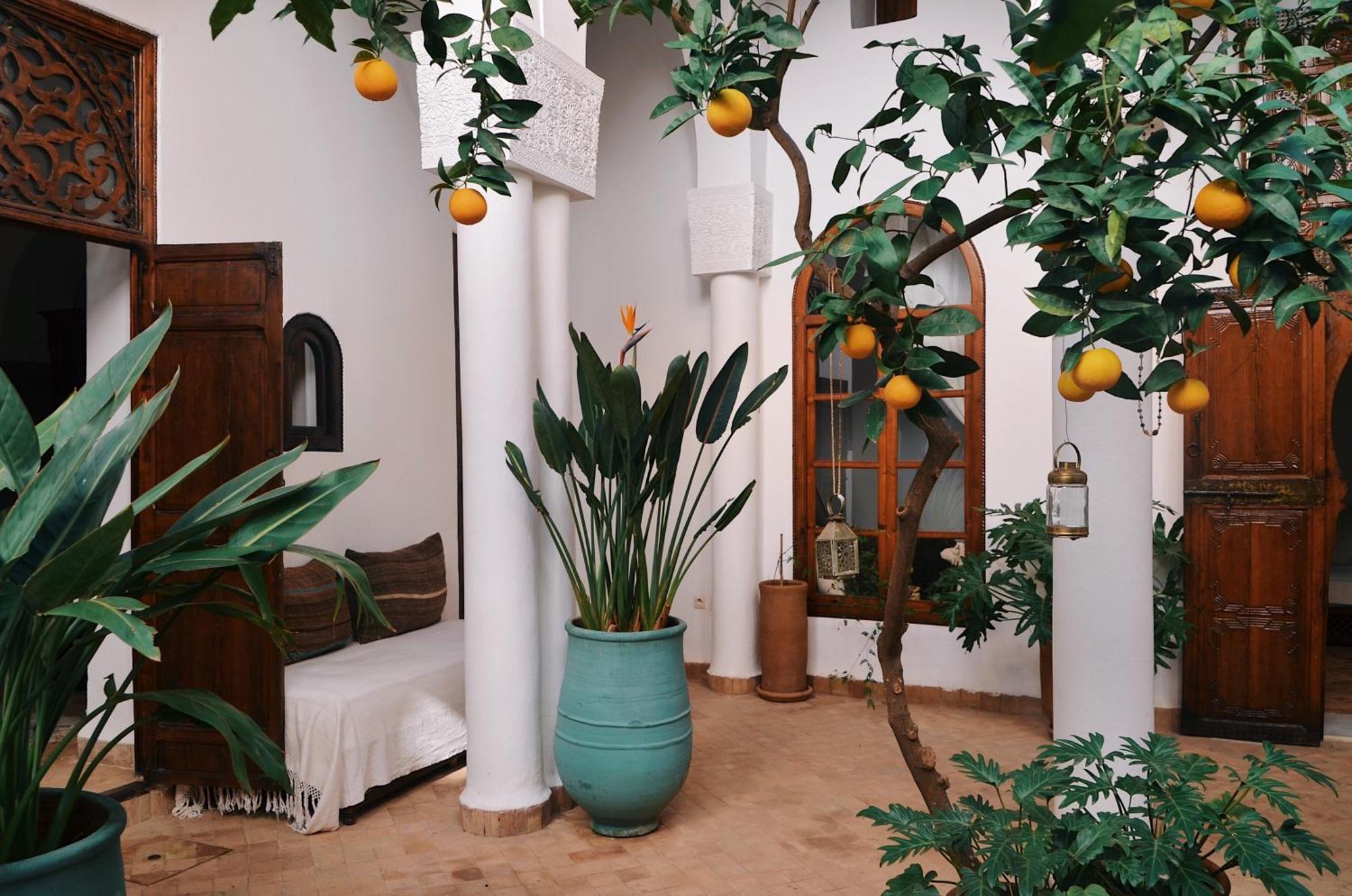 Nosade Venue Bed and Breakfast Marrakesh Exteriör bild